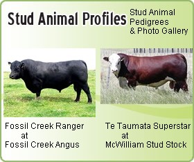 Aminal Profile List