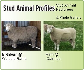 Aminal Profile List