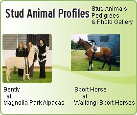 Aminal Profile List