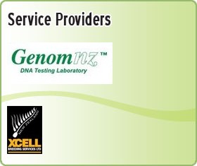 Service Providers List